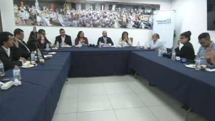 Revocatorias de mandato registran bajo nivel de avance, detalla el Tribunal Electoral