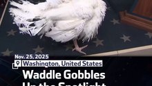 Waddle Gobbles Up the Spotlight in White House