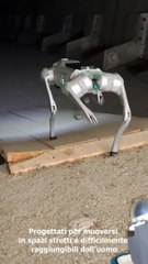 Sulla Brebemi arrivano cani robot e droni in vista delle OIimpiadi