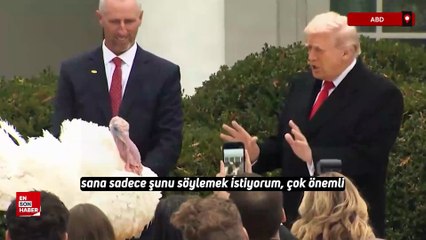 Trump geleneksel "Şükran Günü" töreninde iki hindiyi affetti