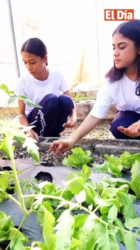 INABIE impulsa huertos escolares para educar en ambiente y alimentación