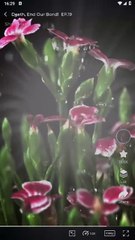 Death, End Our Bond! Full Movie