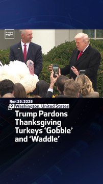Trump Pardons Thanksgiving Turkeys ‘Gobble’ and ‘Waddle’