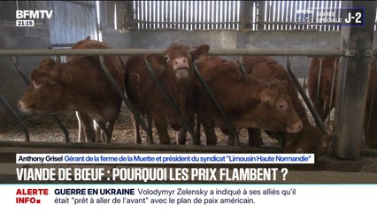 Le prix de la viande bovine explose, +20% en un an