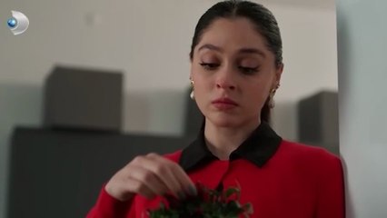 مسلسل ورود و ذنوب الحلقة 8 كاملة مترجمة,