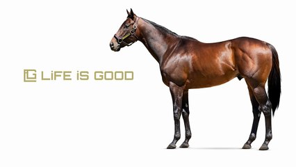 An Aqueduct Allowance Produces the Fastest Horse of the Week