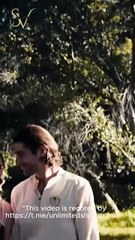 [EngSub] Oops! I Mate With My Forbidden Alpha