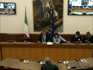 Roma - Disforia di genere - Audizioni - Movimento Elaga APS - Renzo Puccetti, medico, docente di Bioetica presso l'Ateneo Pontificio Regina Apostolorum (25.11.25)