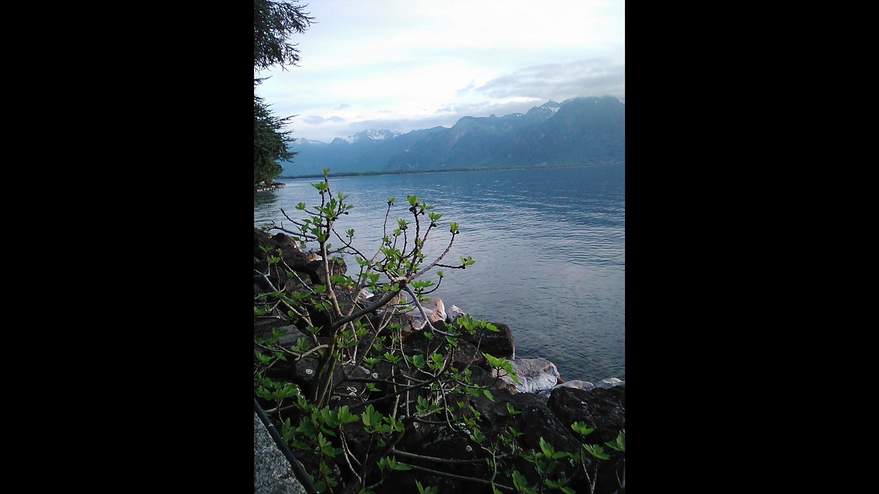 Chillon (04.2025)