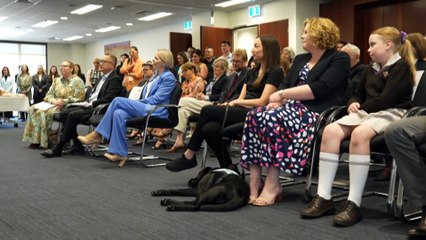 South Australian court swears in Facility Dog to support people in the family law system