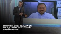 Produção de cevada brasileira tem projeção de crescimento de 43% na produção nacional