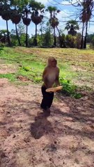 Awesome Video Best SokYaa, OG, Pao & Mom Are Famous Around The World #shorts #anime #trend #edit