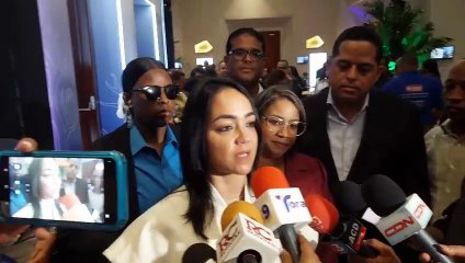 Instituciones anuncian iniciativas para erradicar la violencia contra la mujer - Faride Raful