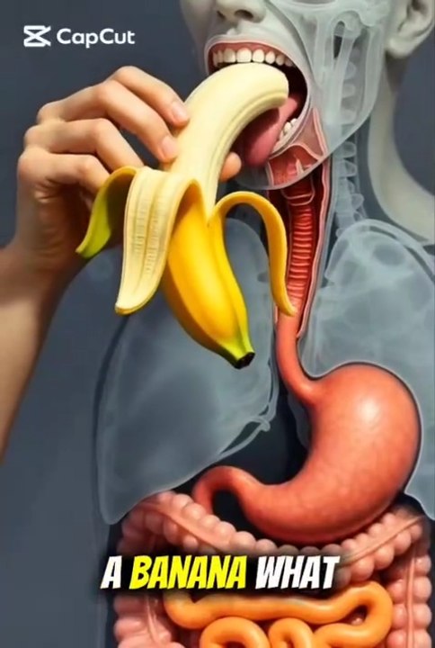 when you eat a banana what happens inside your
