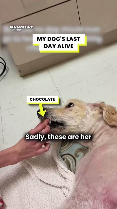 My Sick Dog's Final Meal 🥺