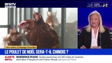 Le poulet de Noël sera-t-il chinois ? - 25/11