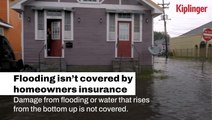 Things You Should Know About Hurricane Insurance Claims