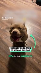 He would rather have our company than his owners