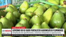 Mariana Grilli: RJ aposta no agroturismo para impulsionar agricultura familiar