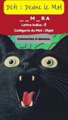 Guess the word Challange S1E3