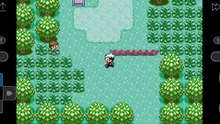 Pokemon emerald 1