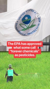 The EPA has approved new pesticides that some call forever chemicals.