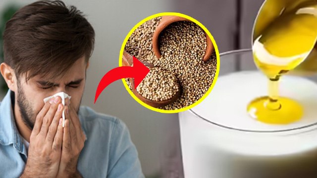 Warm Diet Tips:Sardiyon Mein Pet Ko Garam Rakhne ke Liye Kya khana Chahie |Healthy Food For Stomach