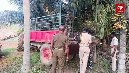 திடீர் திடீரென விஸ்ட் அடிக்கும் சிறுத்தைகள்: கூண்டுகள் அமைத்து தீவிர கண்காணிப்பில் வனத்துறை!