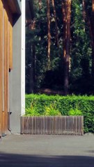 She Came Out Of A Coma After 7 Years (2025) - FULL HD [Eng Sub]