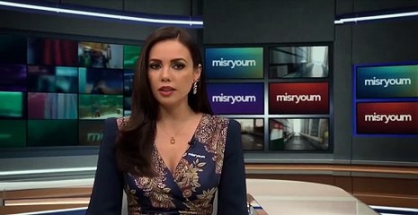 إقبال كبير وتنظيم مميز.. مراقبون دوليون يشيدون بتنظيم انتخابات النواب 2025