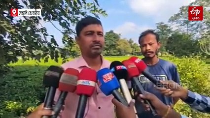 চকু সেমেকি উঠা এক দৃশ্য ! পেটত আঘাত লৈয়ে আৰ্তনাদ বন্য়হস্তীৰ