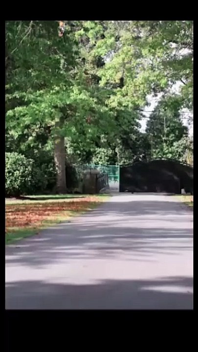 Mafia's Tender Torture #SF25