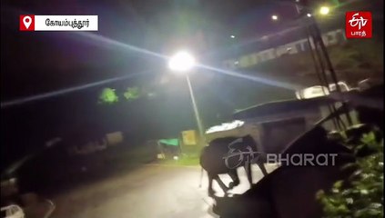 வன காவலர்களை கண்டதும் குடிசைக்குள் தலையை விட்டு ஒளித்த யானை: வைரலாகும் வீடியோ!