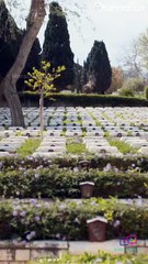 The Return of the Unwanted Wife