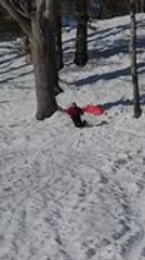 Sledding Adventure Turns Into Funny Fall on Mountain