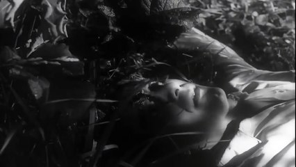 LA NOCHE DE LOS MUERTOS VIVIENTES  Película Completa de MIEDO de ZOMBIS en Español