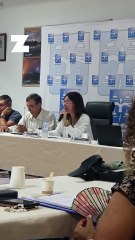 Salazie : Fouassin et plusieurs élus votent contre l’entrée de la commune à la SPL Estival