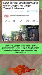 Umur segini emang lagi lucu lucu-nya gaes