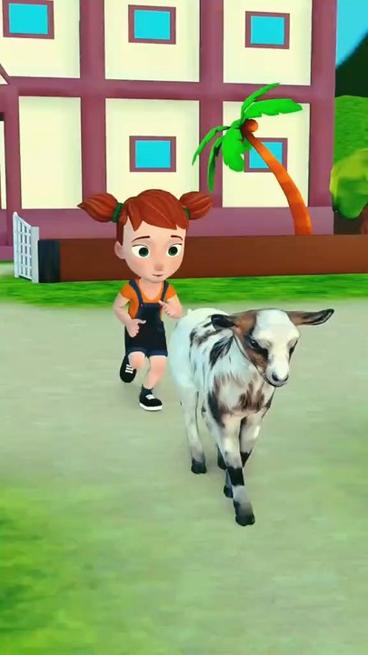 Meri bakri