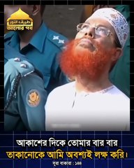 আকাশের দিকে তাকিয়ে কি বললেন সাঈদী সাহেব মনে মনে আল্লাহর কাছে