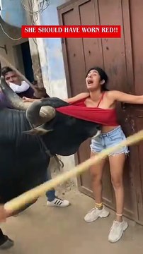 Woman Panics as Bull Lifts Her by Her Clothes in Scary Street Encounter