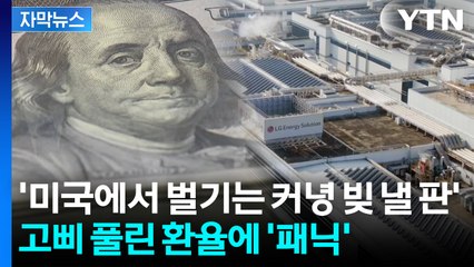 [자막뉴스] 비용 8천억 원 '껑충'...환율 급등에 기업들 '벼랑 끝' / YTN