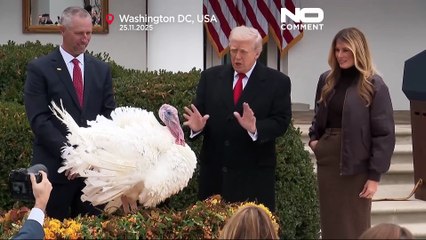 Trump gracie Waddle et Gobble, dindes de Thanksgiving, lors de la tradition annuelle