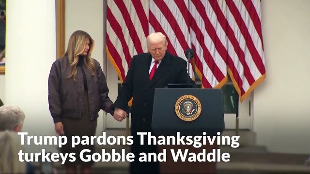 Trump pardons Thanksgiving turkeys Gobble and Waddle in annual holiday tradition