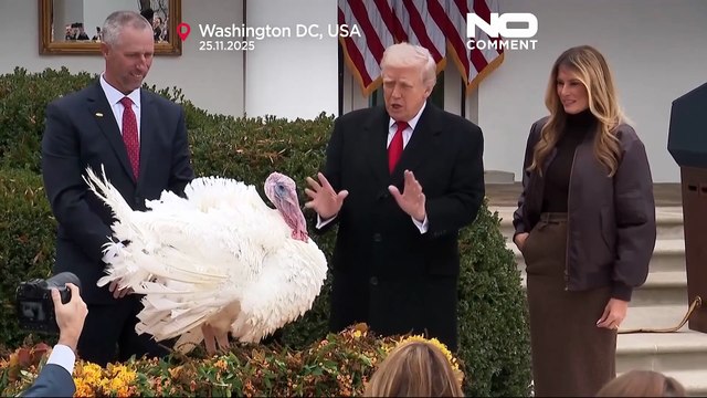 Trump indulta a los pavos Waddle y Gobble en el Día de Acción de Gracias