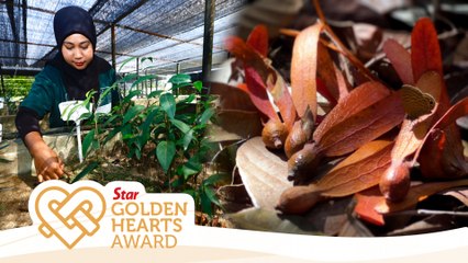 Reviving Malaysia’s gentle giants | Star Golden Hearts Award 2025