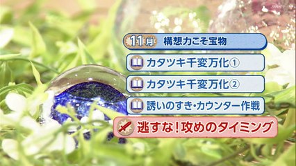囲碁フォーカス シリーズ 昭和１００年 私の愛するあの一局～山城宏九段～