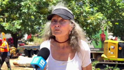 Man killed by falling tree, 75,000 without power as storms lash NSW