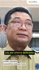 Pemprov Siap Replanting 27 Ribu Hektar Kebun Kelapa Tahun 2026