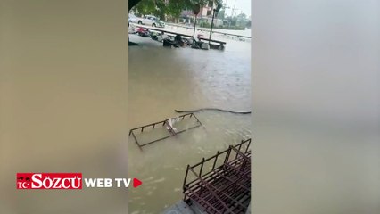 Sağanak sonrasında şehri devasa yılanlar bastı